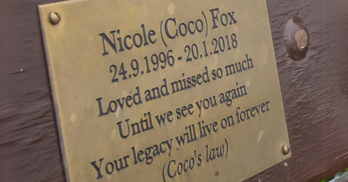 Ireland's Department of Justice, reviews Coco's Law.